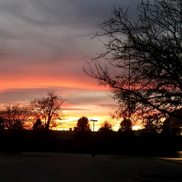 Meet your Posher, Connie - Picture 1 of 1